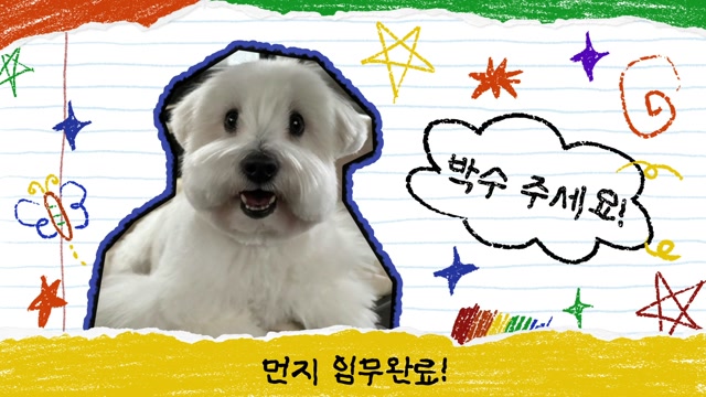 반려동물이 박수를 요청하는 마지막 장면 예시