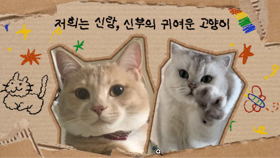박스 타입